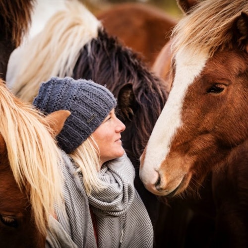 Islandia: Montar a caballo - Excursión por el campo