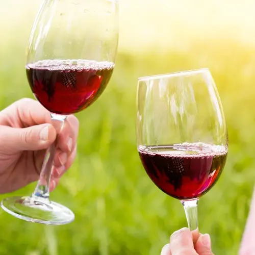 Gaillac: Visita guiada de medio día desde Toulouse + Degustación de vinos
