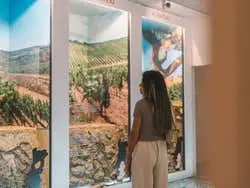 Entradas para Wine Experience