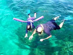 Snorkelling in Miami