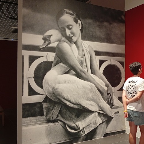 MEET & Colección del Museo Ruso Málaga: Entrada