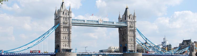 Tower of London and Tower Bridge private half-day guided tour