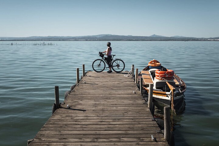 Valencia: Road to La Albufera Private Bike Tour