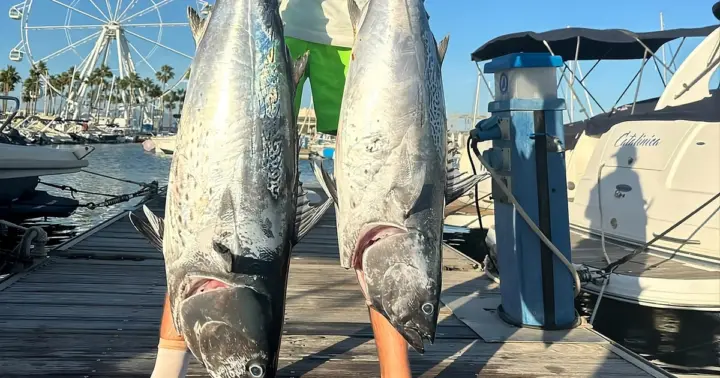 El mejor viaje de pesca de atún con «todo incluido»