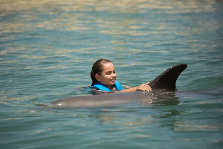 Punta Cancún: Nadar con delfines Harmony
