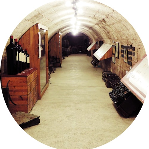 Musée du Vin et du Négoce: Entrada