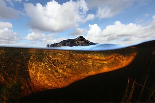 Sawgrass Recreation Park admission ticket