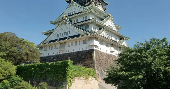 Castillo de Osaka: ticket de acceso al museo y a la torre