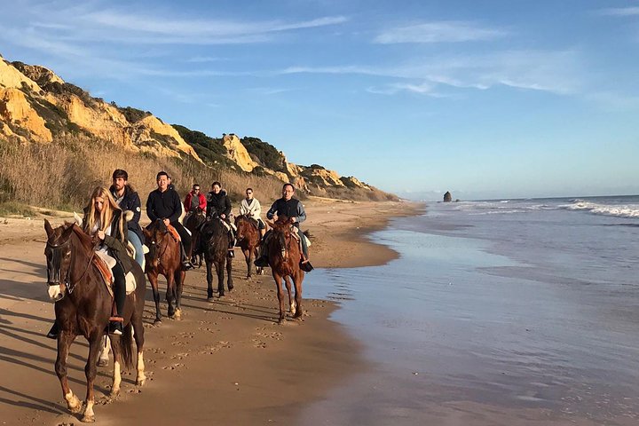 Ruta a caballo por Doñana y visita de El Rocio