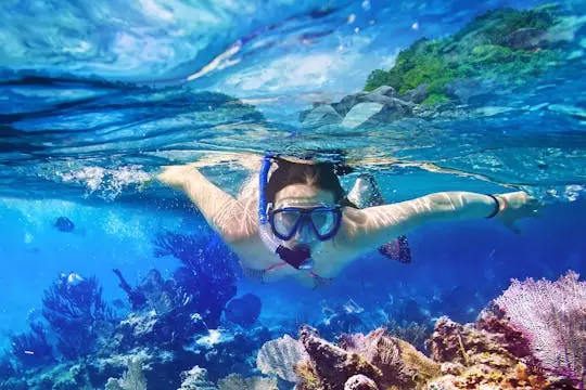 Tour guiado de snorkel con oceanógrafos.