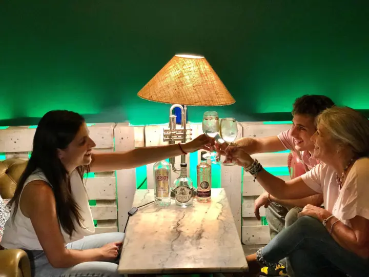 Madrid: San Miguel view Gin and Tonic Workshop with Tapas