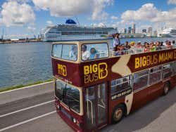 Miami Sightseeing Bus