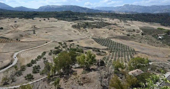 Desde Málaga: excursión de 1 día a Ronda y Setenil de las Bodegas en autobús