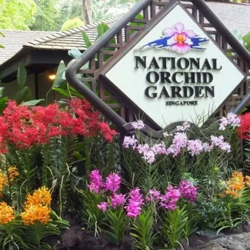 Jardín Nacional de Orquídeas de Singapur: Entrada para visitantes extranjeros