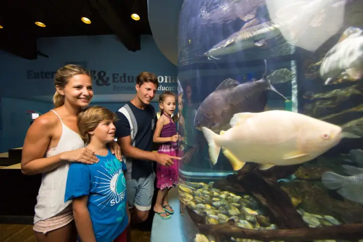 Cancún: Entrada al Acuario Interactivo