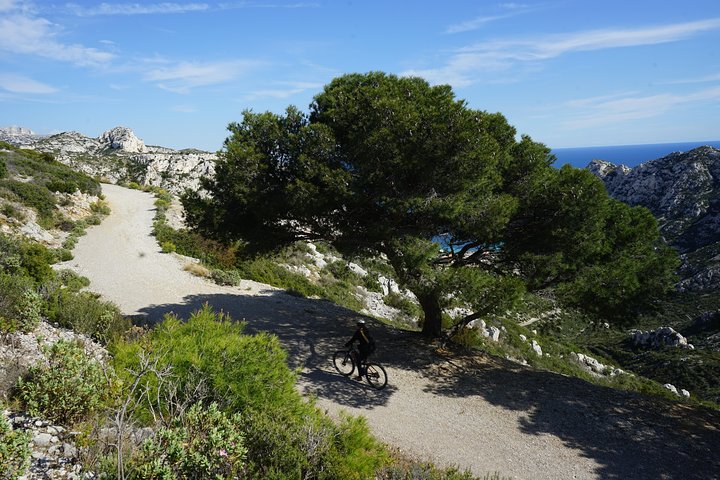 Recorrido en bicicleta eléctrica por el Parque Nacional de Calanques de Sormiu desde Marsella