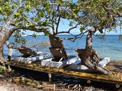 Excursión a la isla Palma