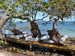 Excursión a la isla Palma