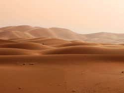 Oferta: Tour en quad + Paseo en camello