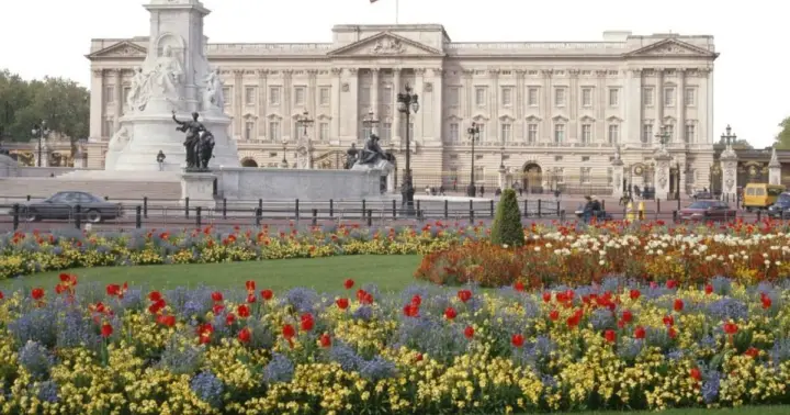 London: Buckingham Palace State Rooms with Bus and Boat Tour