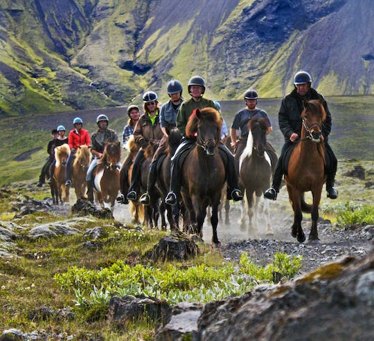 Ruta a caballo con Gullfoss, Geysir y Þingvellir