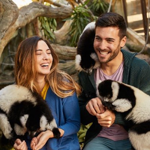 Mundomar Benidorm: Skip The Line Ticket