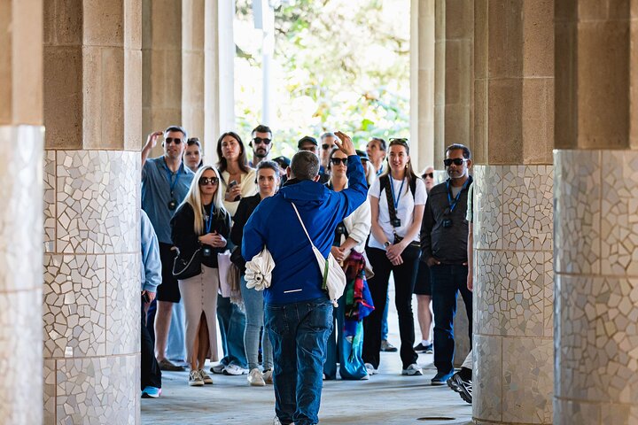 Visita guiada al Parque Güell con entrada sin colas