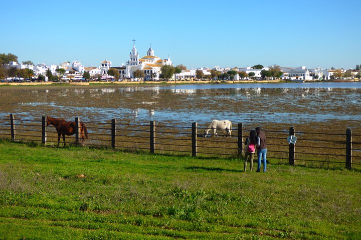Doñana Parque Nacional en 4x4 y El Rocío