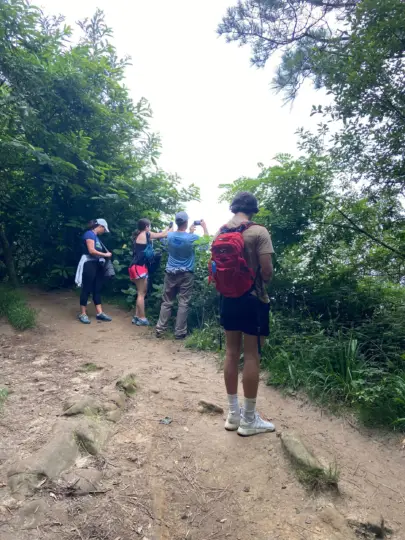 Senderismo Ulia | San Sebastián: El Camino de Santiago