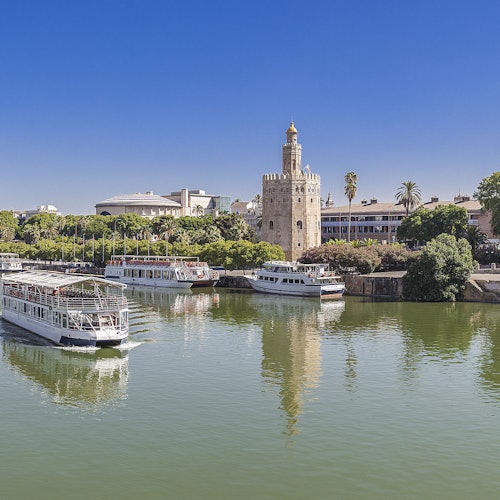 Sevilla: Crucero turístico desde Torre Del Oro
