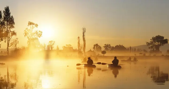 Xochimilco: tour al amanecer en kayak o trajinera