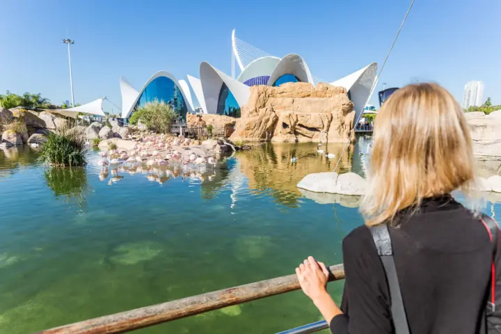Valencia: Oceanogràfic & Science Museum Combo