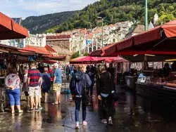 Bergen Guided Walking Tour