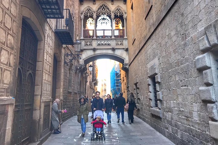 Barcelona en un día para niños y familias con la Sagrada Familia y el área gótica