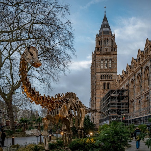 Museo de Historia Natural de Londres: Entrada Reservada + Audioguía