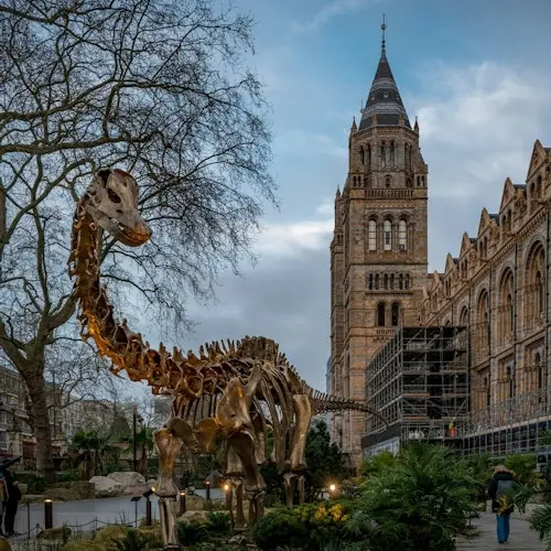 Museo de Historia Natural de Londres: Entrada reservada + Tour guiado + Audioguía