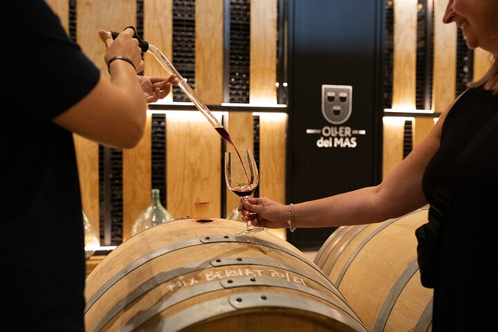 Excursión a Montserrat con almuerzo en bodega y experiencia exclusiva en bodega