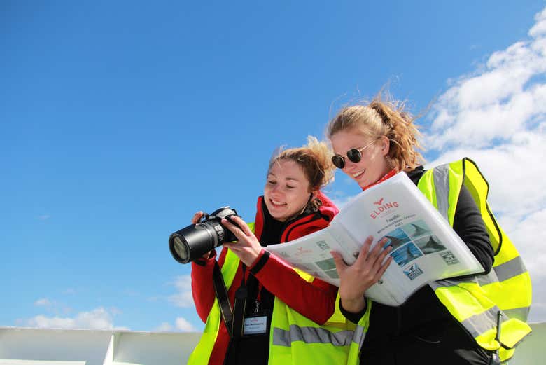 Avistamiento de ballenas
