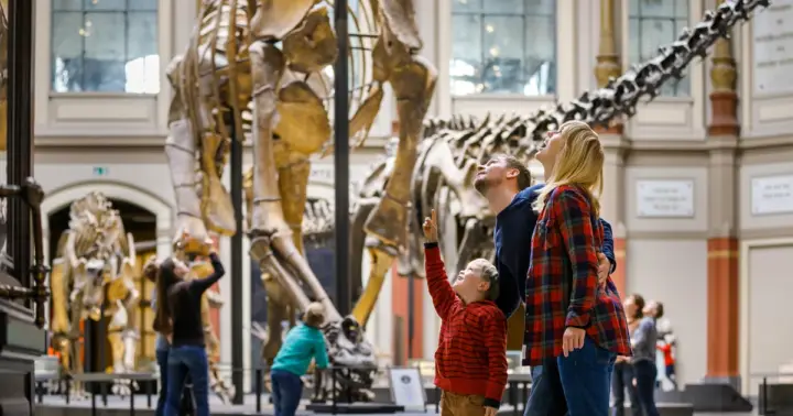Berlín: Ticket de entrada al Museo de Historia Natural