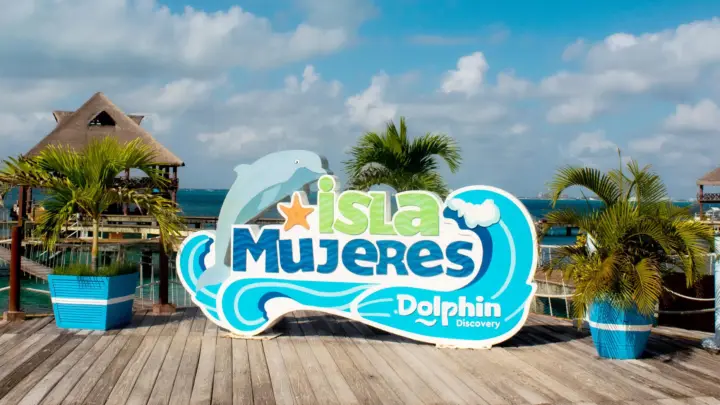 Isla Mujeres: Día completo en Dolphin Discovery
