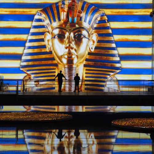 Les Bassins des Lumières: Entrada de acceso rápido