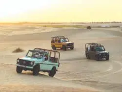 Al Marmoom Oasis Vintage 4x4 Desert Safari