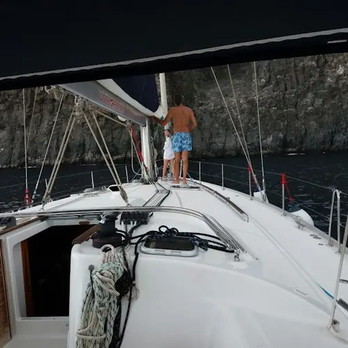 Tenerife: Excursión de 3 horas en velero para avistar ballenas y delfines con bocadillo y bebidas