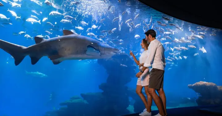 Mallorca: ticket de entrada a Palma Aquarium con cine 3D opcional