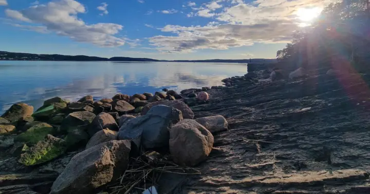 Oslo: paseo guiado por la isla de Malmøya con imágenes de dron