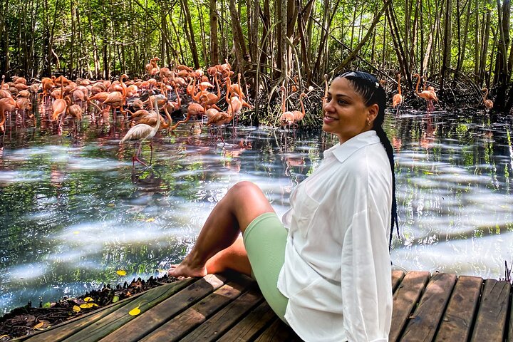 Aviario nacional Eco Plan y almuerzo en Playa Blanca