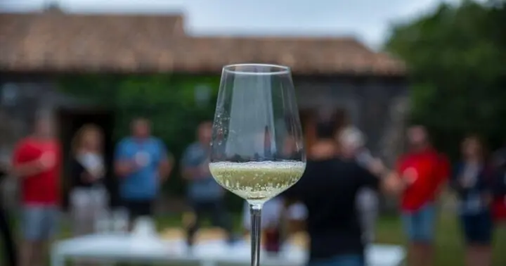 Tour enológico en Braga con cata de vinos verdes y aperitivos