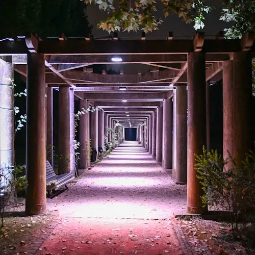 Oporto: Entrada para «Serralves en Luz» (Serralves em Luz)