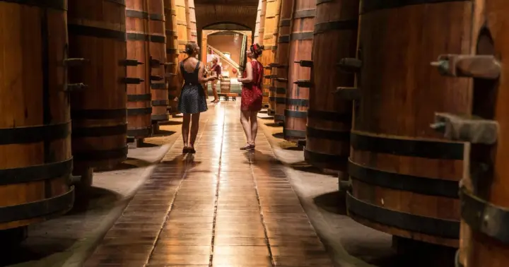 Santiago: tour de vinos con catas en Cousiño Macul