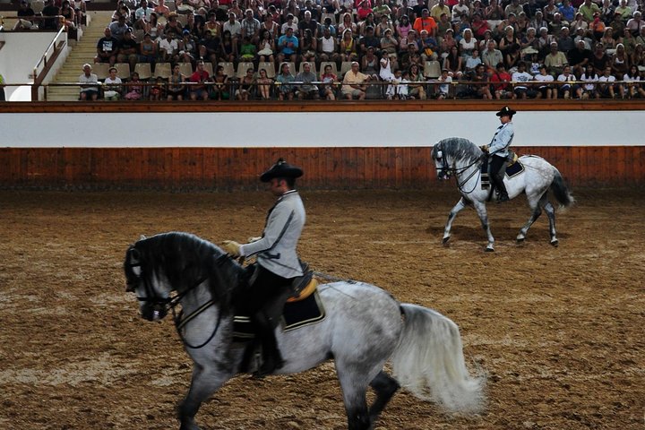Jerez y Cádiz con Ballet de Caballos y Degustación de Jerez de Sevilla